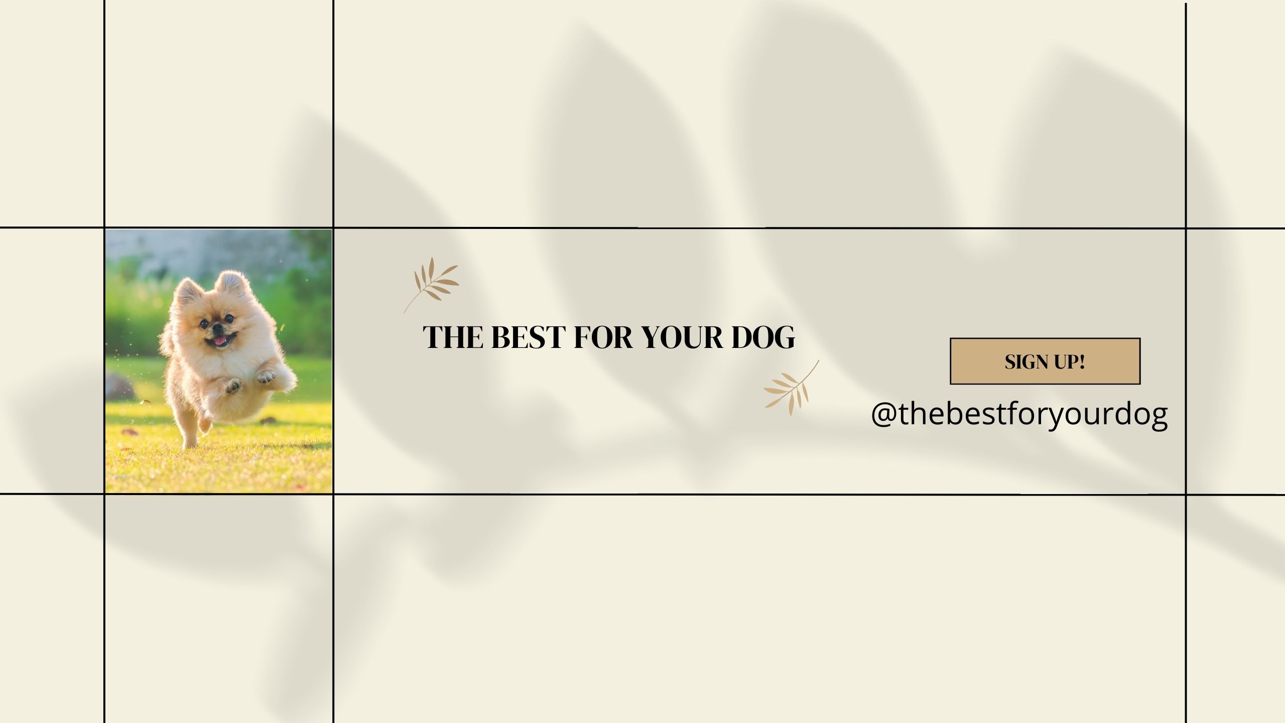 thebestforyourdog